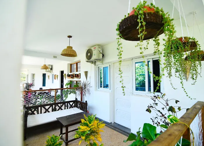 Tulia House Backpackers